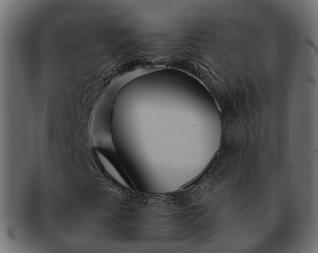 X0000091721345200709071426