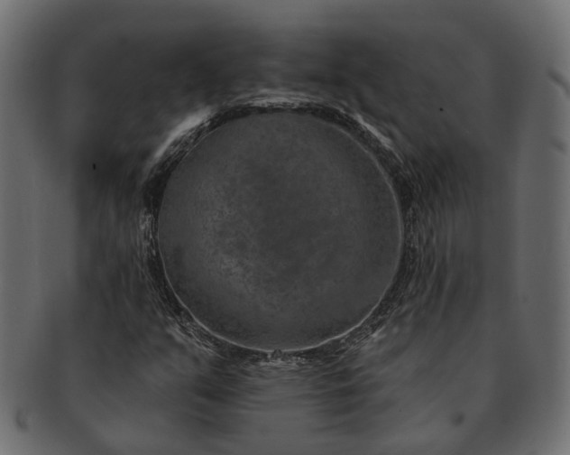 X0000091721351200709071426