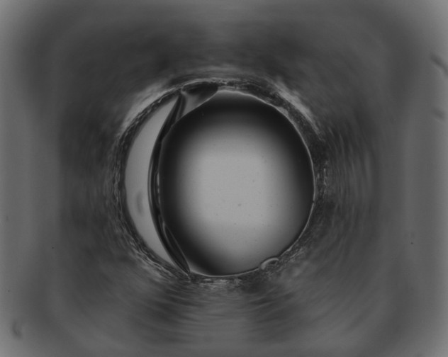 X0000091721352200709071426