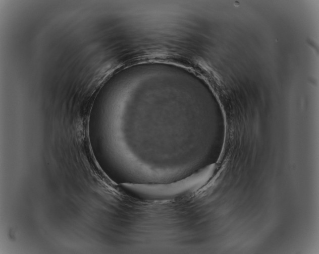 X0000091721353200709071426