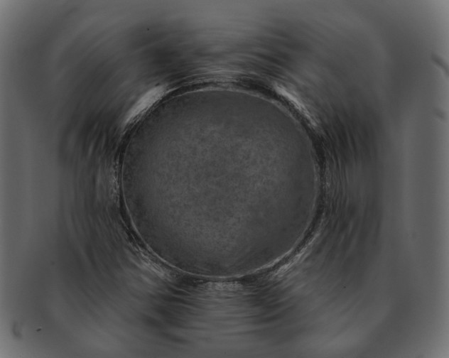 X0000091721354200709071426