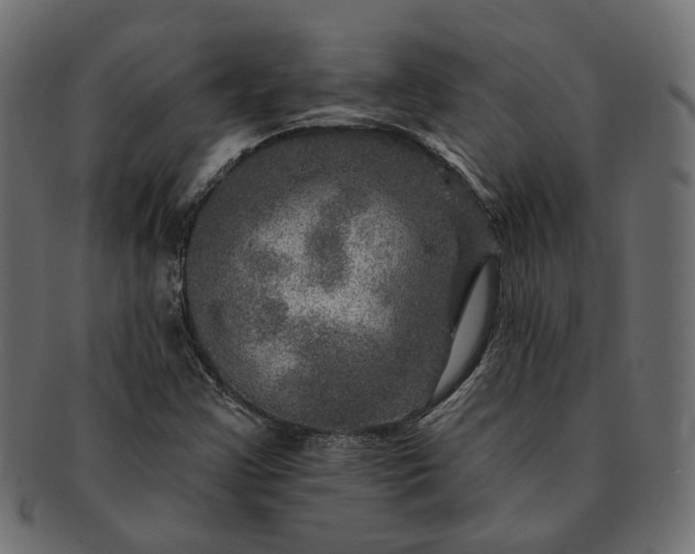 X0000091721355200709071426