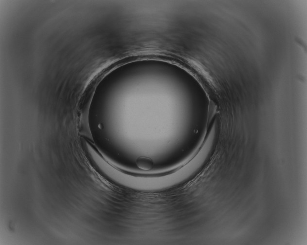 X0000091721356200709071426