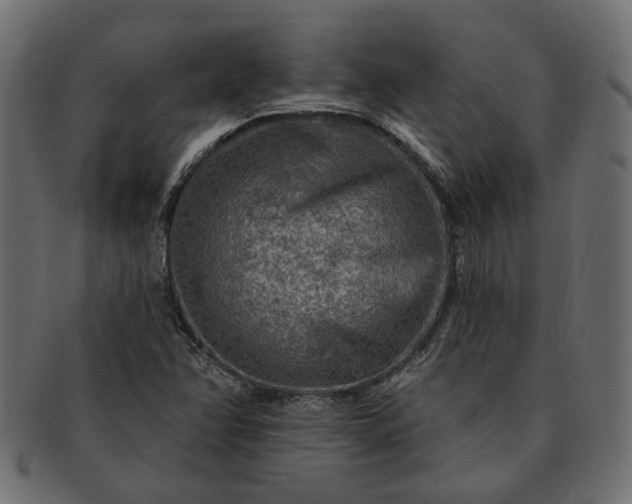 X0000091721358200709071426