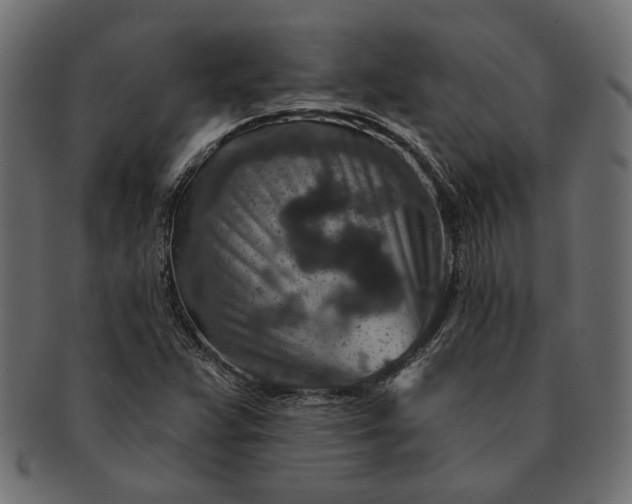 X0000091721359200709071426