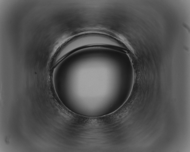 X0000091721360200709071426