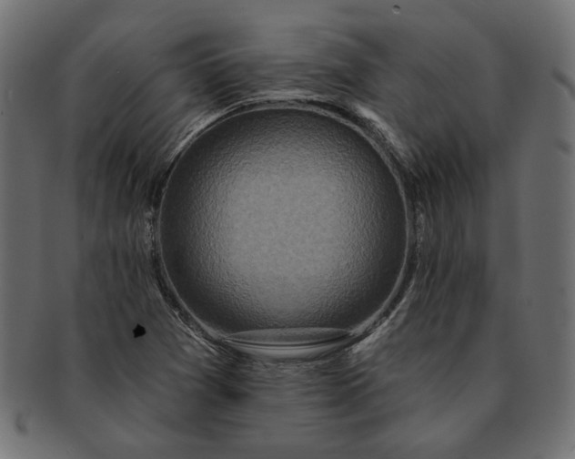 X0000091721361200709071426