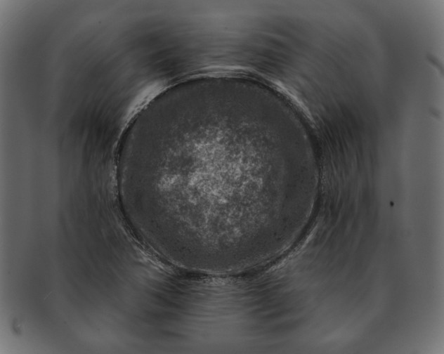 X0000091721362200709071426