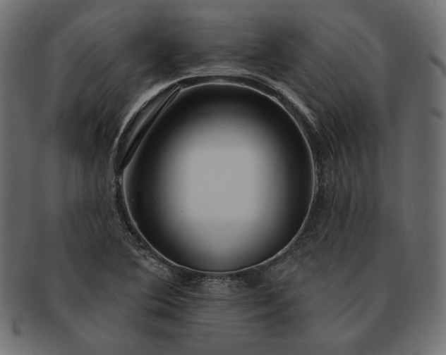 X0000091721364200709071426