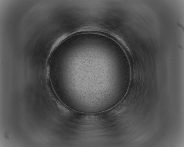 X0000091721366200709071426