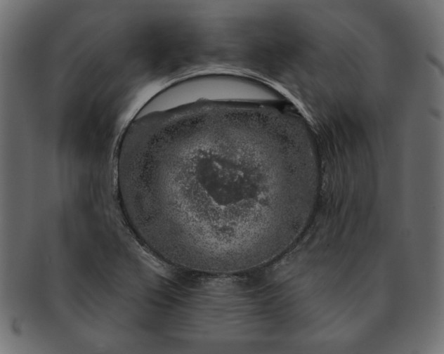 X0000091721367200709071426