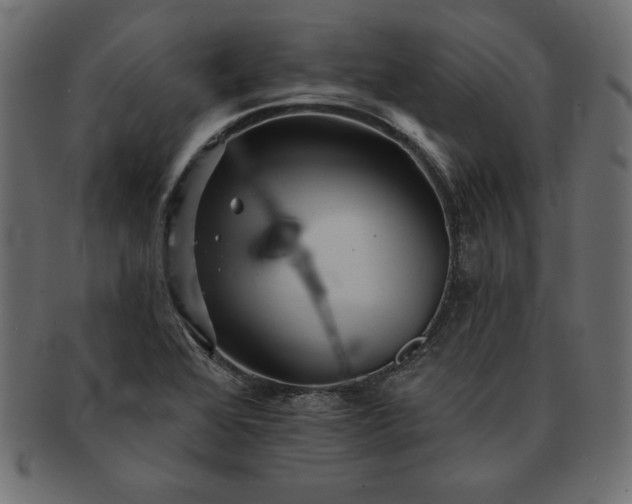 X0000091721368200709071426