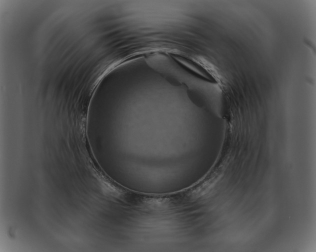 X0000091721369200709071426