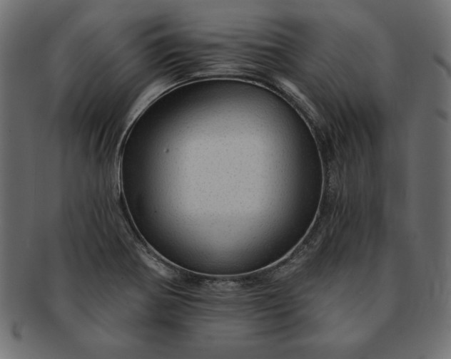 X0000091721370200709071426