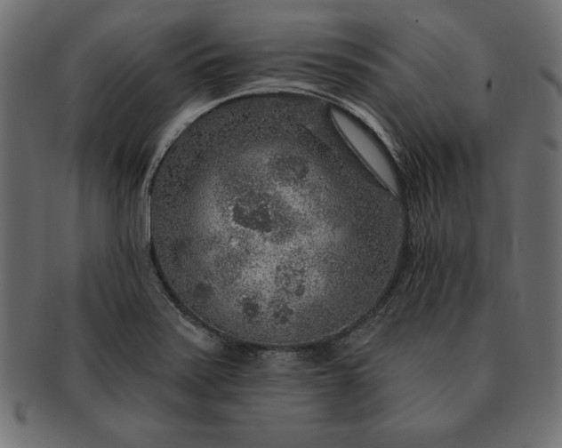 X0000091721371200709071426