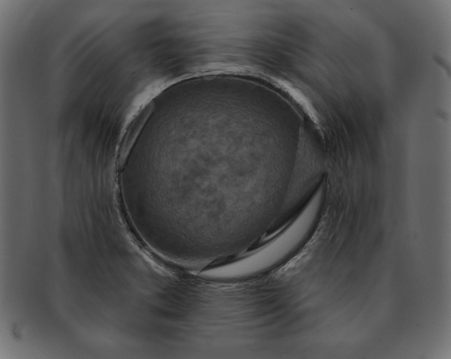 X0000091721373200709071426