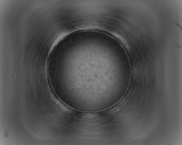 X0000091721374200709071426