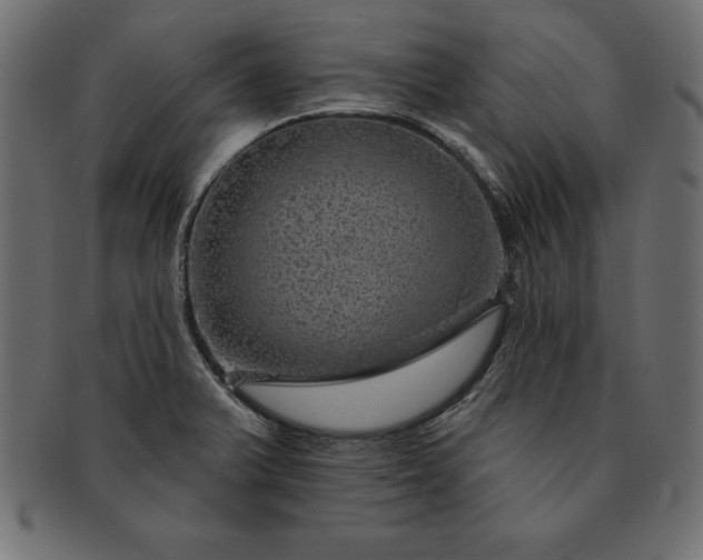 X0000091721375200709071426