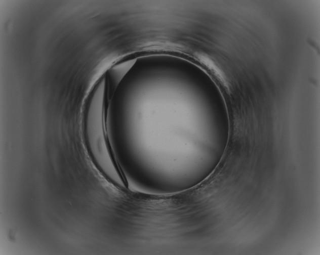 X0000091721376200709071426