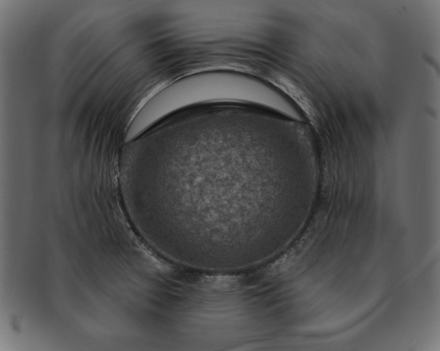 X0000091721377200709071426