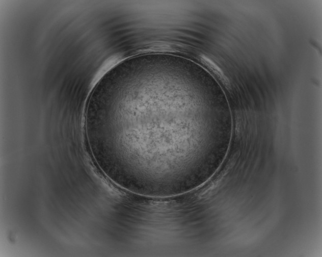 X0000091721378200709071426