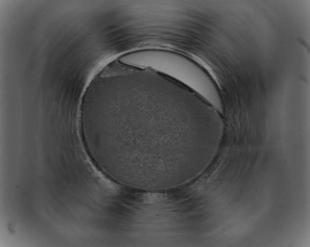 X0000091721379200709071426