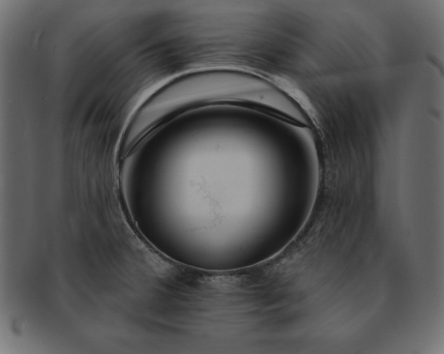 X0000091721380200709071426