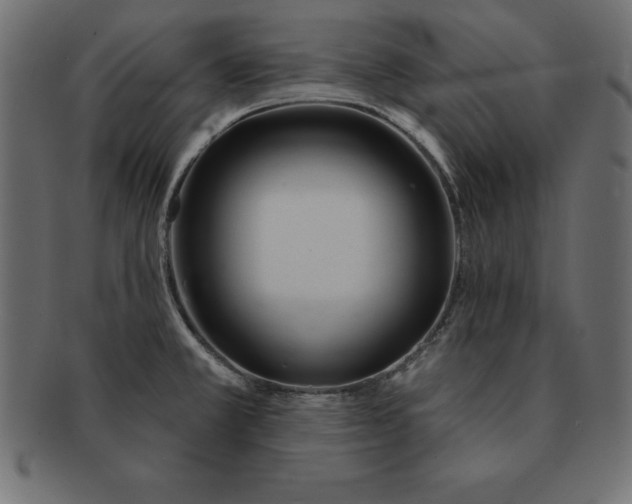 X0000091721381200709071426