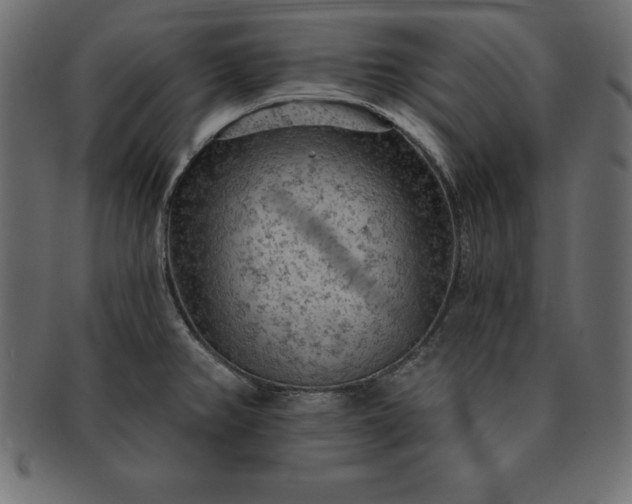 X0000091721382200709071426