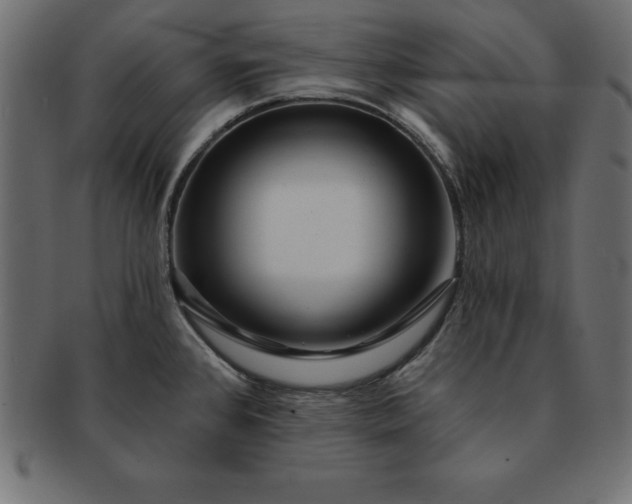 X0000091721384200709071426