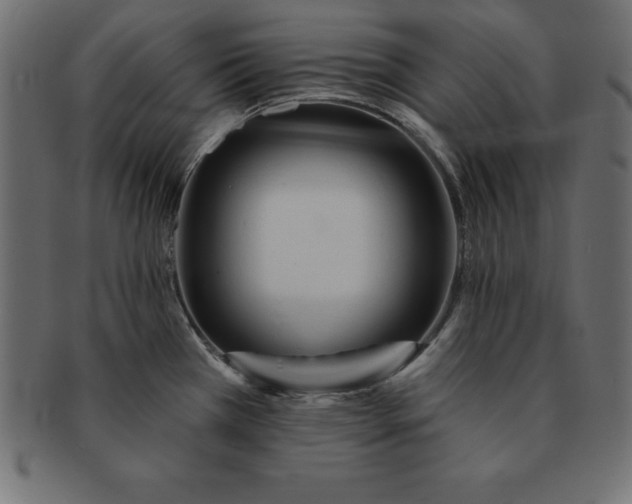 X0000091721385200709071426