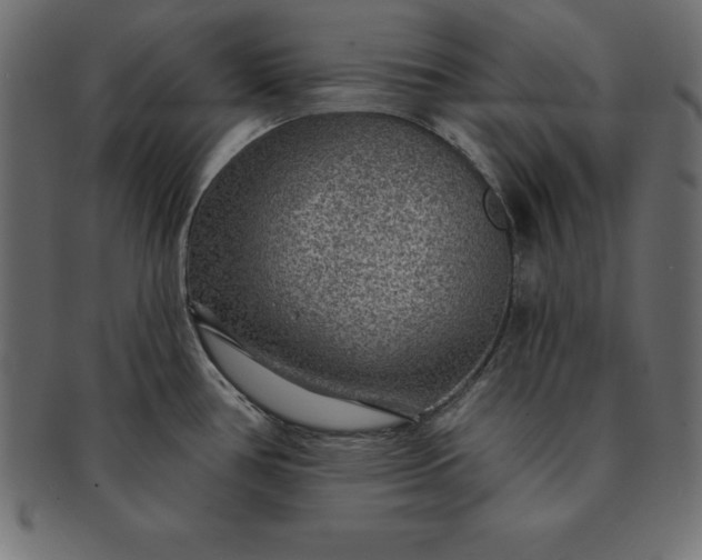 X0000091721386200709071426