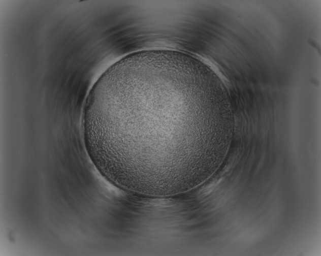 X0000091721387200709071426