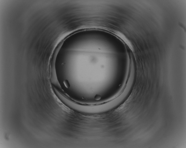 X0000091721388200709071426