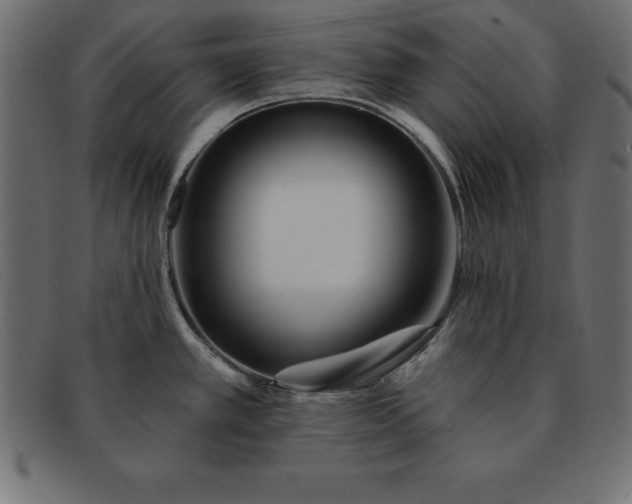 X0000091721389200709071426