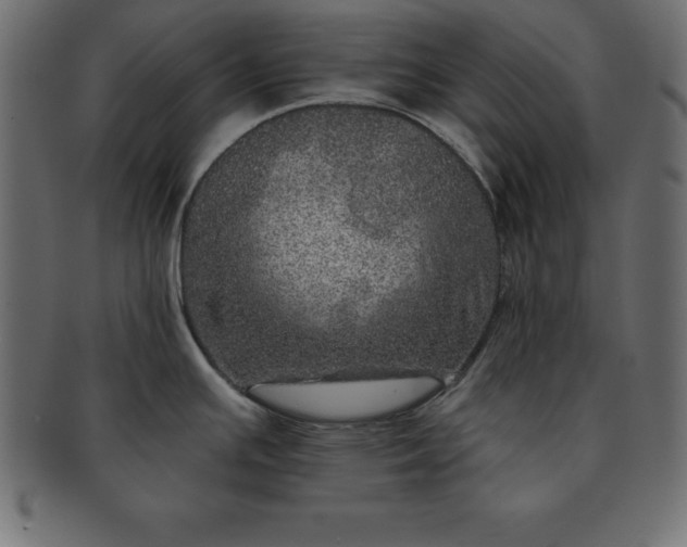 X0000091721391200709071426