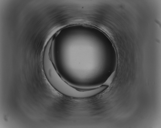 X0000091721392200709071425