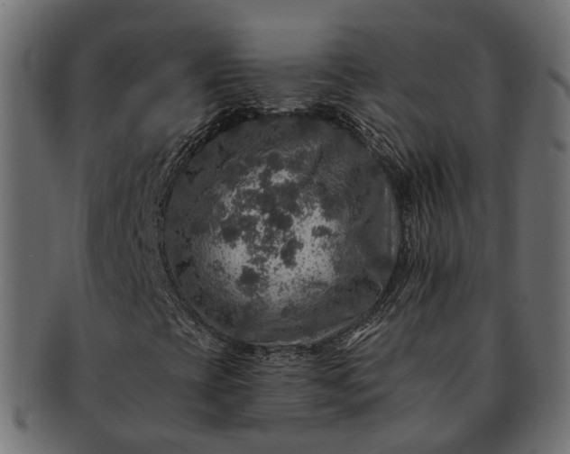 X0000091721393200709071425