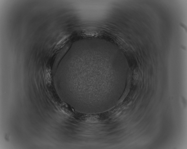 X0000091721394200709071425