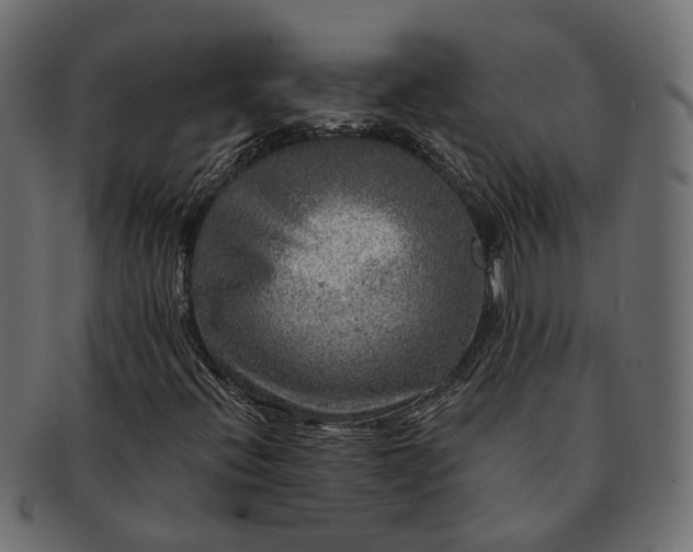 X0000091721396200709071425