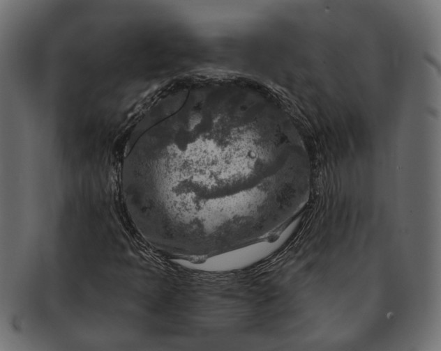 X0000091721397200709071425