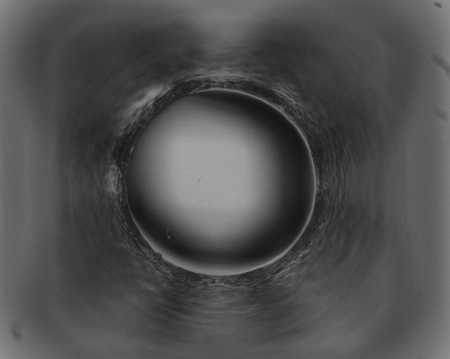 X0000091721398200709071425