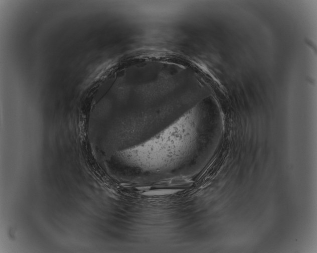 X0000091721399200709071425