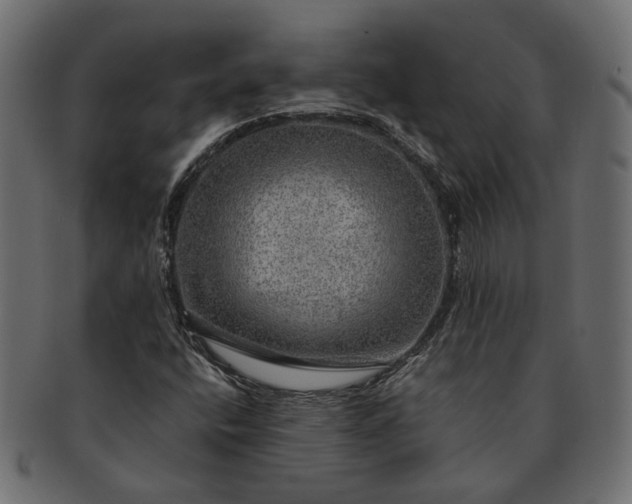 X0000091721400200709071425