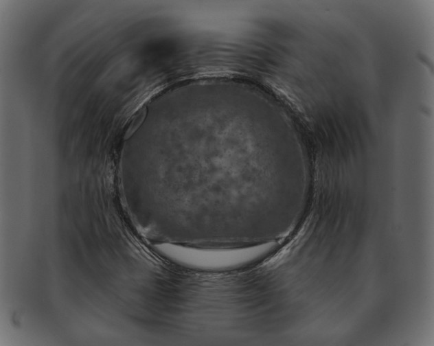 X0000091721401200709071425