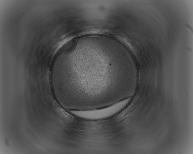 X0000091721404200709071425