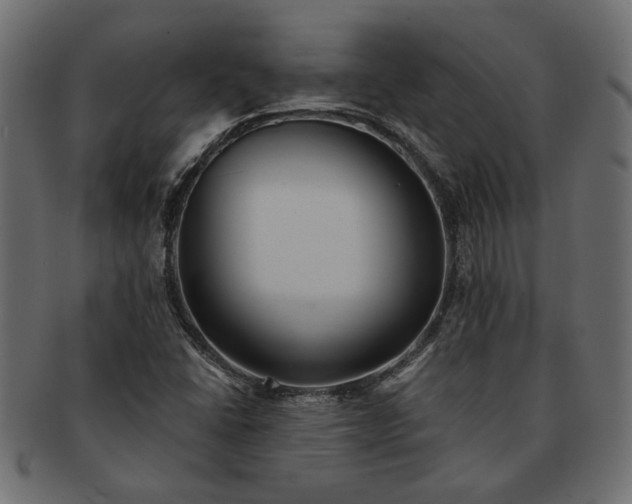 X0000091721406200709071425