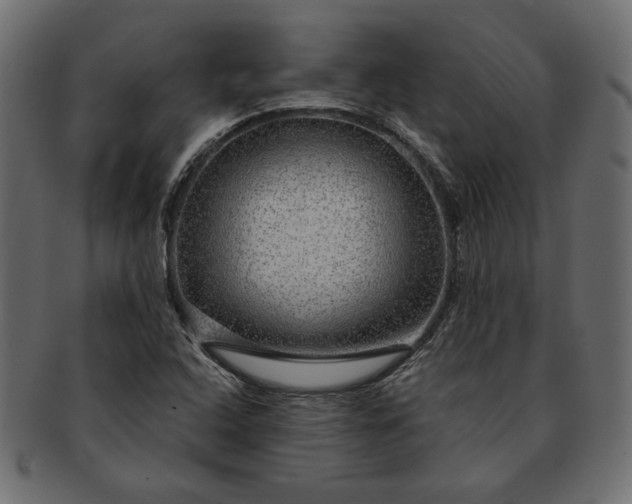 X0000091721408200709071425