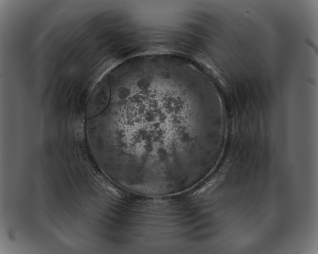 X0000091721409200709071425