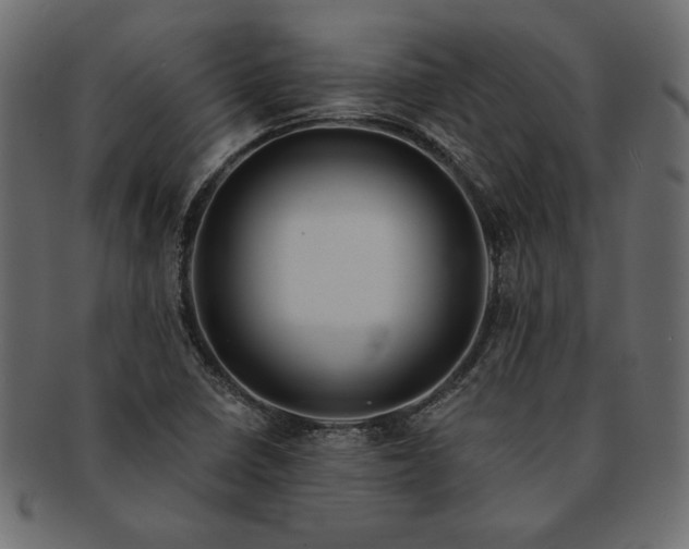 X0000091721410200709071425